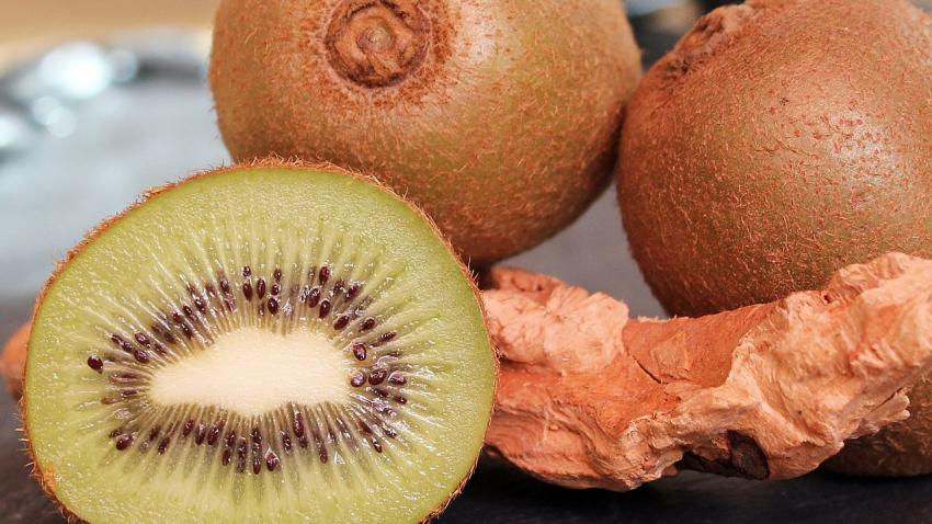 Plant & Food Research: Inside New Zealand's Premier Kiwifruit Breeding ...